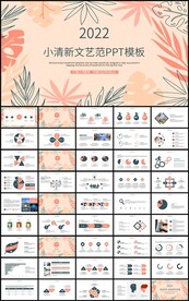 小清新文艺范总结计划PPT模板