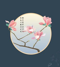 手绘玉兰花 矢量图