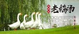 老鹅汤背景墙