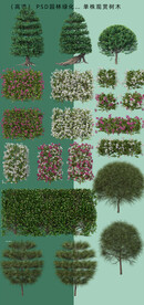 后期绿化素材 