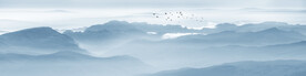 山水