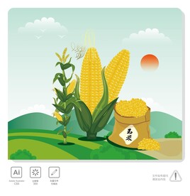 玉米 插画