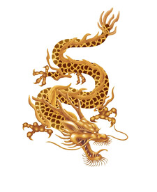 龙