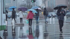 雨中打伞的行人