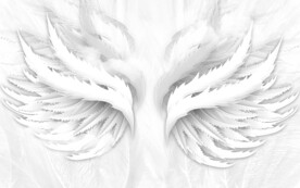 网红北欧翅膀背景墙