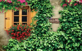 欧美田园风家居场景背景墙壁画