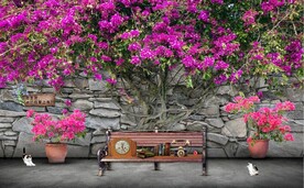 欧美田园风家居场景背景墙壁画