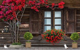 欧美田园风家居场景背景墙笔画