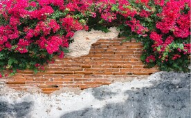 怀旧田园风爬山虎墙壁背景墙