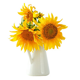向日葵摆件