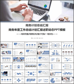 商务计划总结PPT