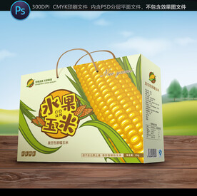 玉米包装