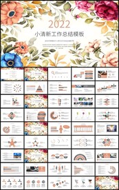 彩绘花卉工作总结述职报告ppt