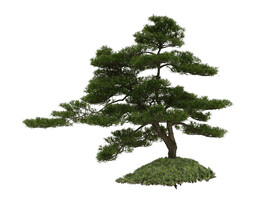 绿色松树3d模型