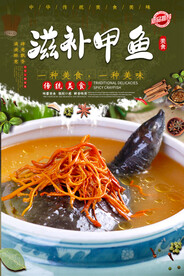 滋补甲鱼