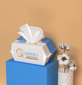 棉柔巾棉花模型