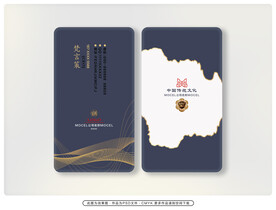公司高档名片 