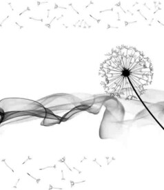 高清分层透明底推拉门打印图