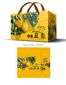 中华丑梨包装 