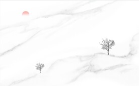 大理石背景墙 灰白根纹理