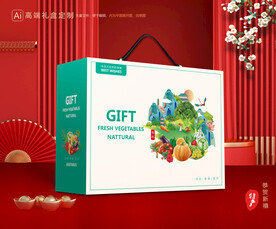蔬菜包装 果蔬礼盒