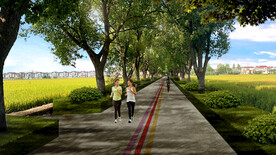 道路绿化效果图