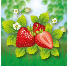 手绘草莓矢量图