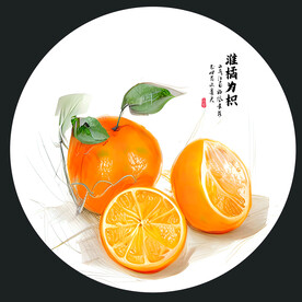 橙子插画