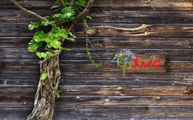 3D大树砖墙场景背景墙壁画