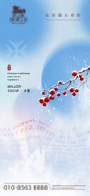 集团大雪节气弥散光风格海报