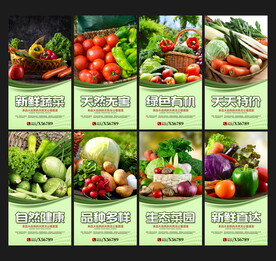 蔬菜海报