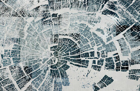 灰色年轮地毯图案