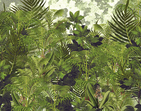 植物森林背景壁纸