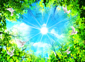 蓝天白云绿叶吊顶