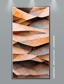 现代简约创意木纹肌理玄关装饰画