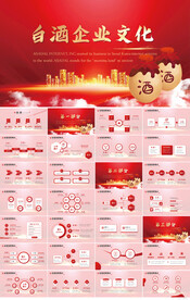 红色大气白酒企业文化介绍PPT