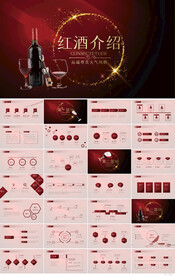 红色高档尊贵红酒宣传介绍PPT