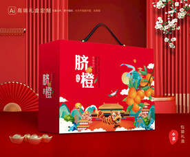 橙子包装 脐橙礼盒