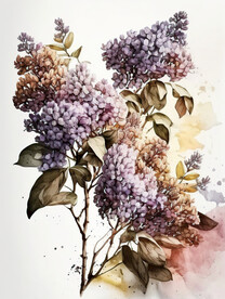 水墨紫花