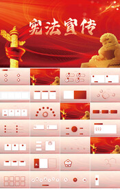 深入学习宣传宪法精神党建PPT