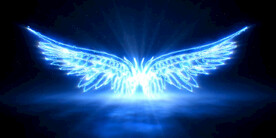 Fly Away 背景视频