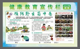 健康教育宣传栏  公共卫生服务