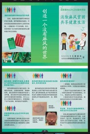 麻风病防治 基本公共卫生服务项