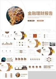 金融理财投资财务财富总结PPT