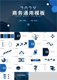 蓝色科技商务计划总结PPT