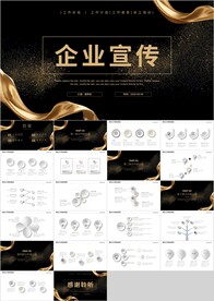 黑金风企业宣传公司介绍PPT