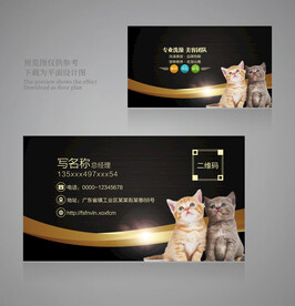宠物名片设计