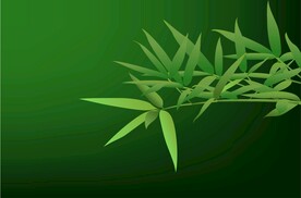 竹叶竹子绿色背景图矢量图