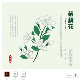 茉莉花
