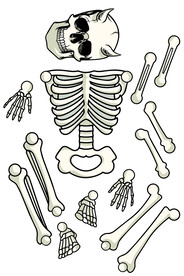 万圣节卡通骷髅拼图插画